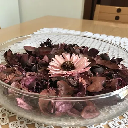 Casa de Férias Mamarose