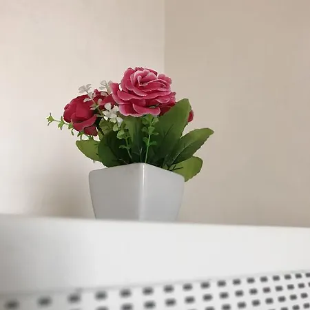 Mamarose Casa de Férias Matera