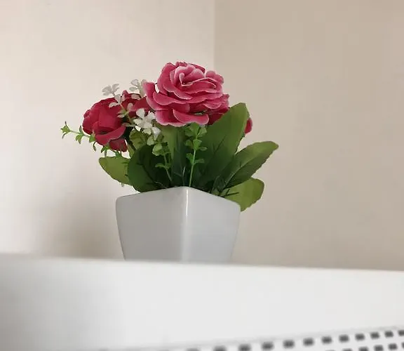 Mamarose بيت للعطل ماتيرا